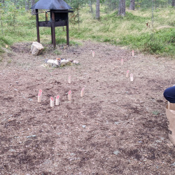 30.07.2022 - 31.07.2022 LFS 11. kokkutulek